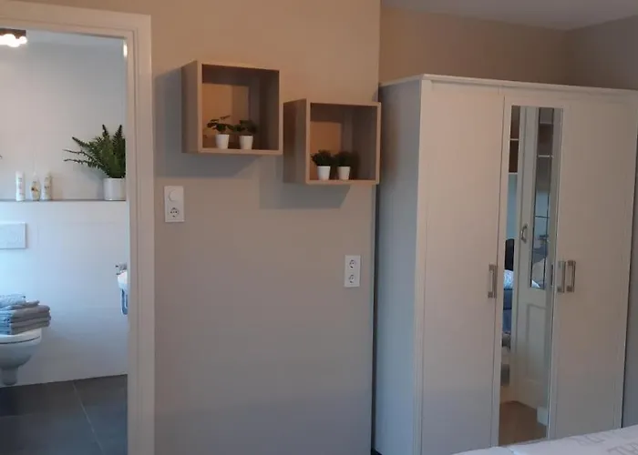 Marigold * Zandvoort