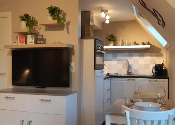 Daire Marigold Zandvoort