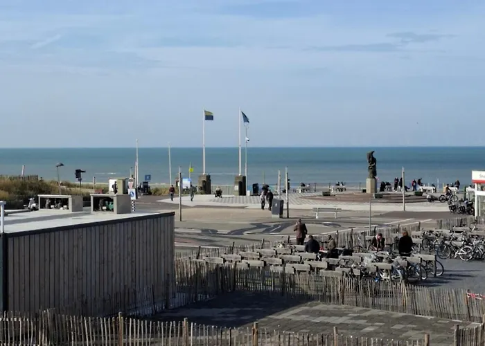 Marigold Daire Zandvoort